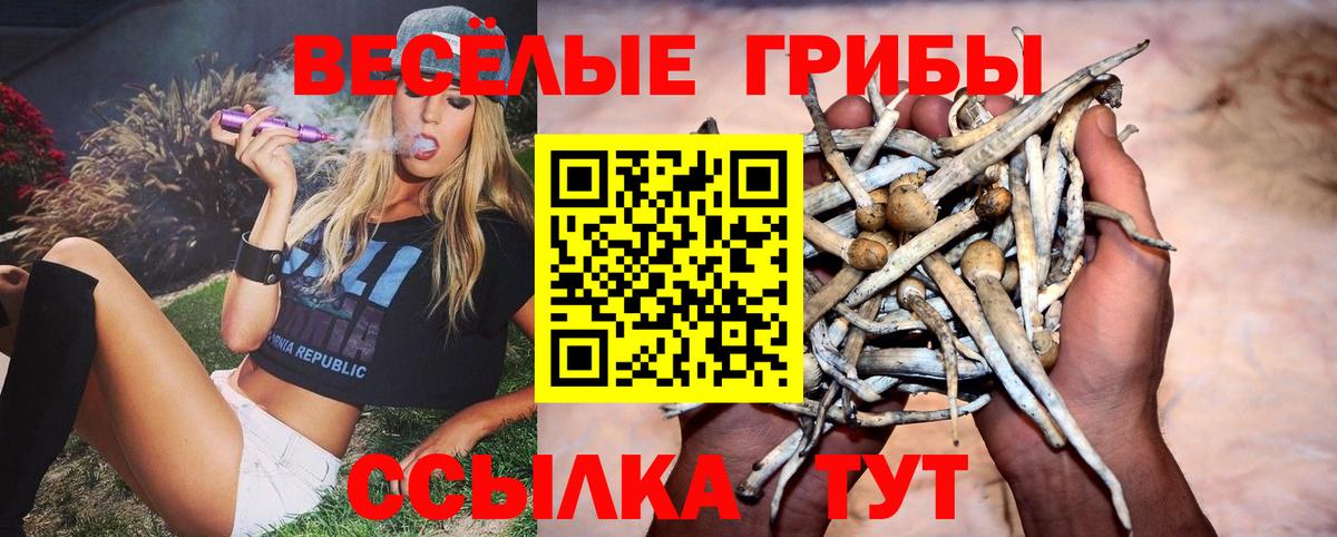 Псилоцибиновые грибы Psilocybine cubensis  Вход с VPN  Прохладный  Псилоцибиновые грибы Cubensis 